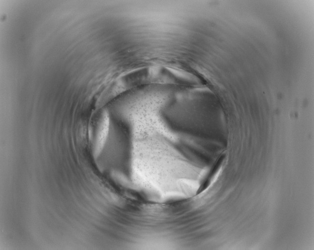 X0000089440192200707061417
