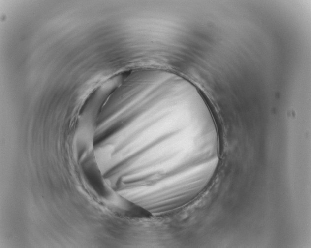 X0000089440193200707061417