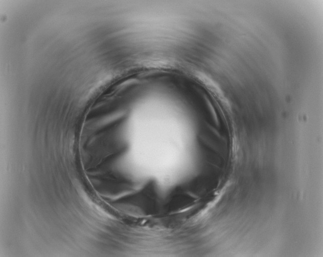 X0000089440201200707061417