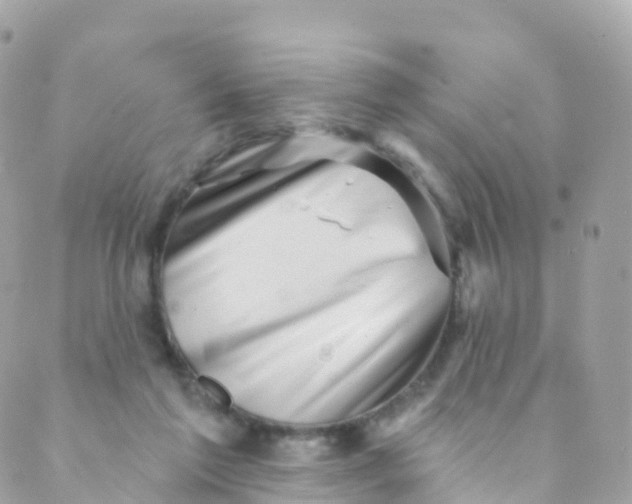 X0000089440213200707061416