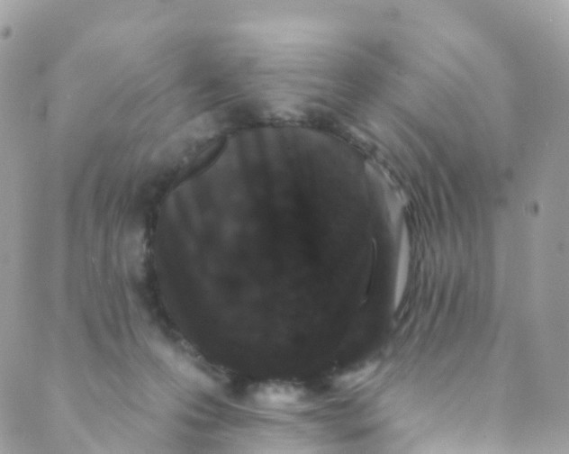 X0000089440223200707061416