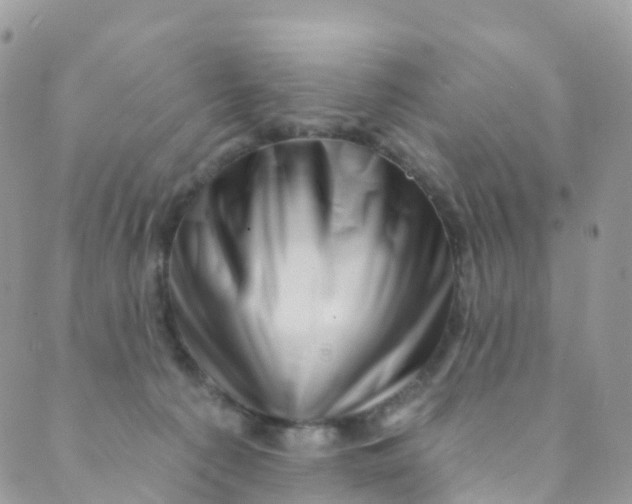 X0000089440225200707061416