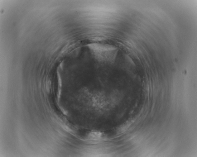 X0000089440227200707061416