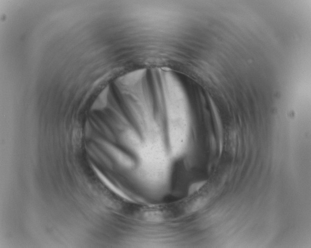X0000089440228200707061416