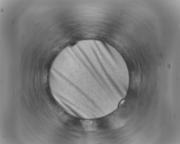 X0000089440230200707061416