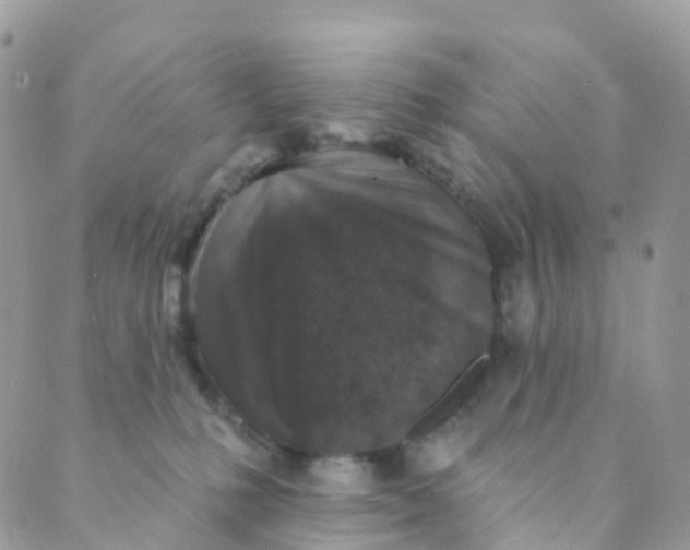 X0000089440231200707061416