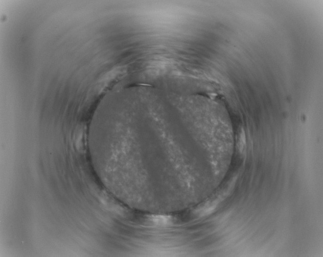 X0000089440233200707061416