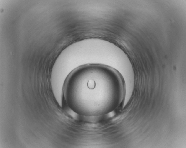 X0000089440237200707061416
