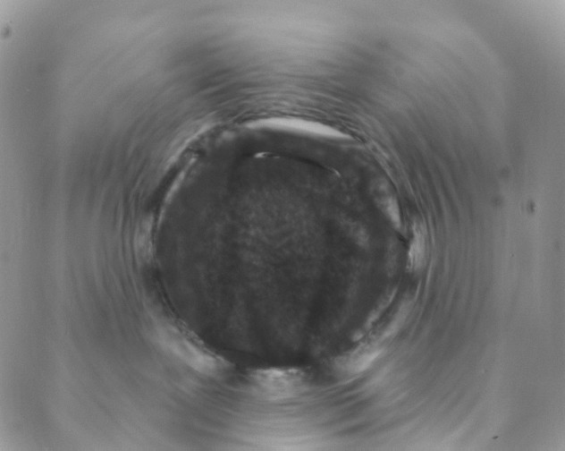 X0000089440239200707061416