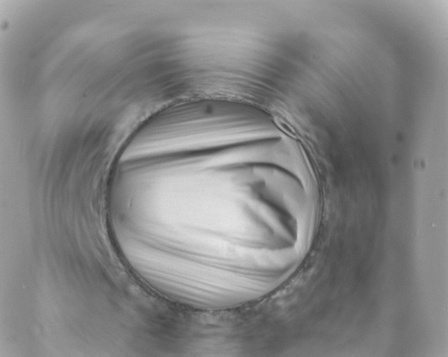 X0000089440241200707061415