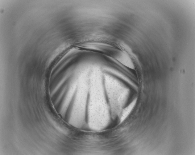 X0000089440250200707061415