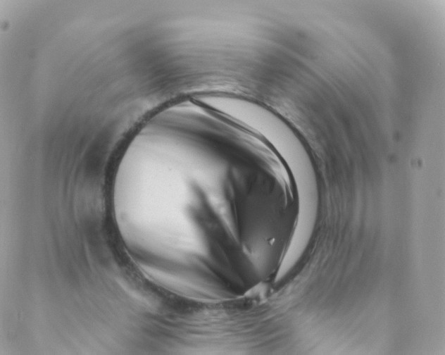X0000089440252200707061415