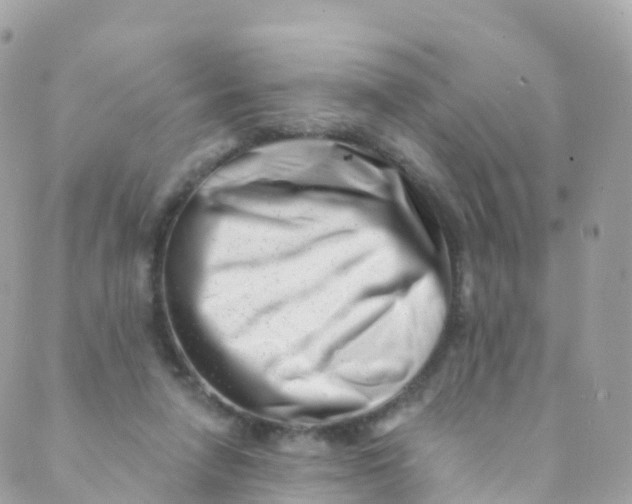 X0000089440258200707061415