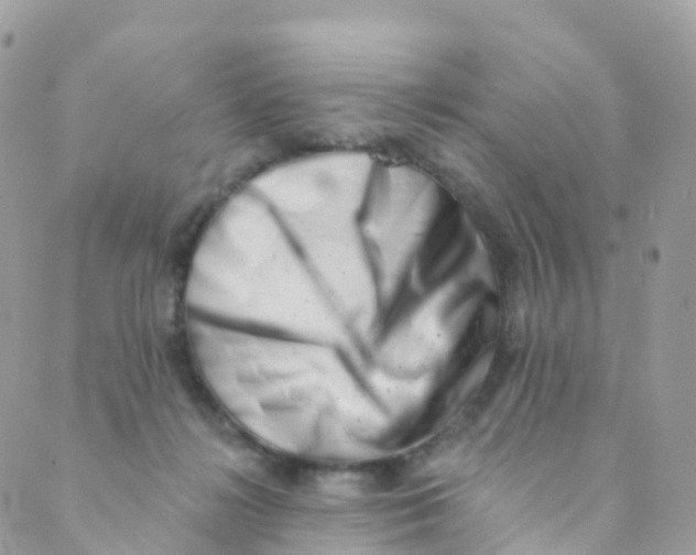 X0000089440268200707061416