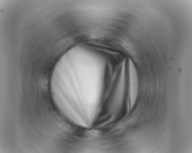 X0000089440269200707061416