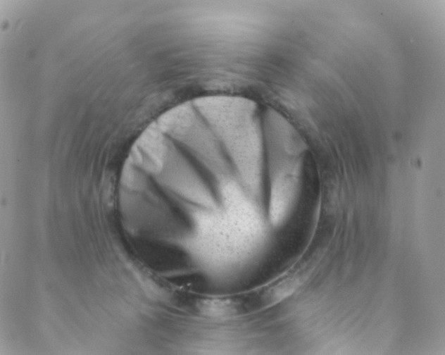 X0000089440273200707061416