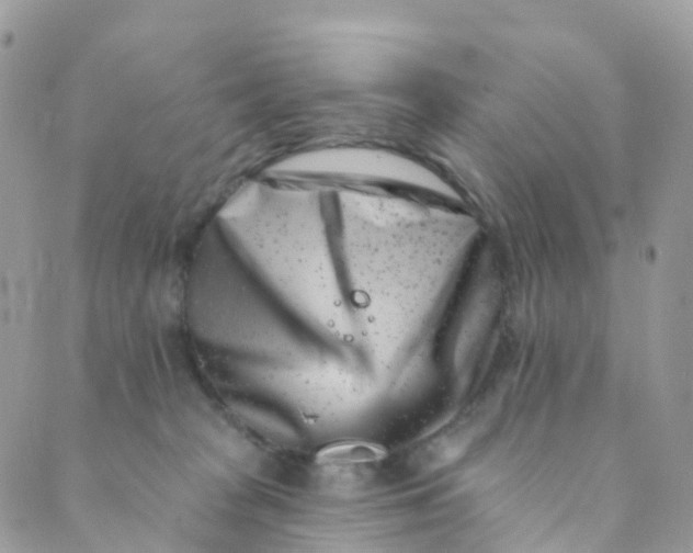 X0000089440277200707061416