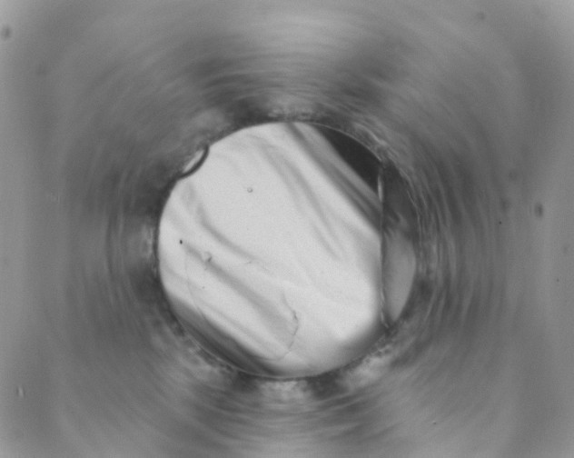 X0000089440281200707061416