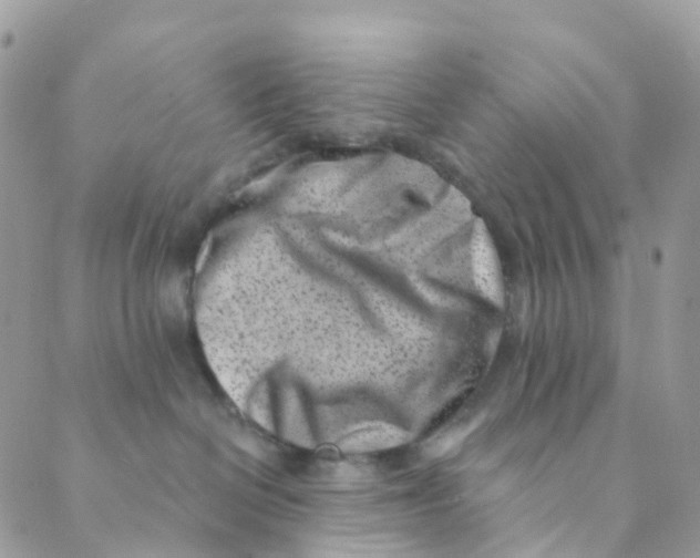 X0000089440286200707061416