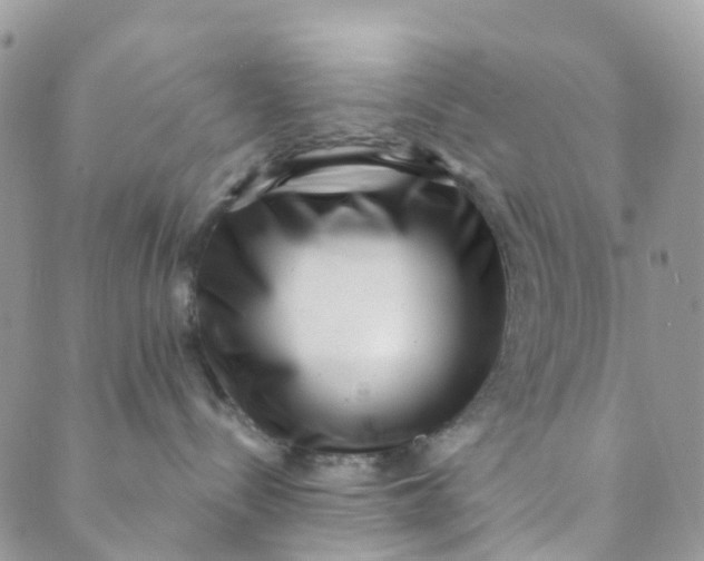X0000089440288200707061416