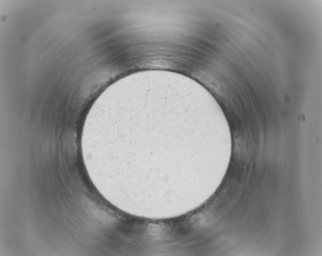 X0000089440302200707061415