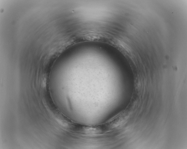 X0000089440315200707061415