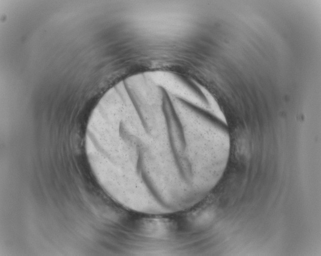 X0000089440316200707061415