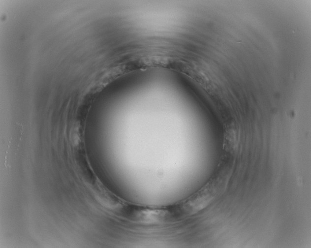 X0000089440323200707061415