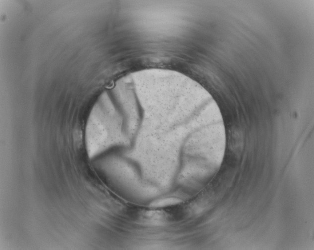X0000089440324200707061415