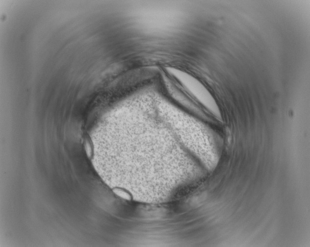 X0000089440331200707061414