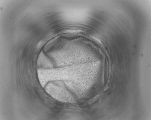 X0000089440337200707061414