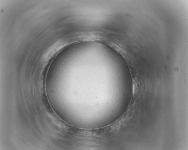 X0000089440339200707061414