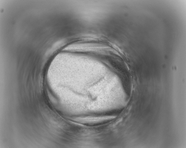 X0000089440343200707061414