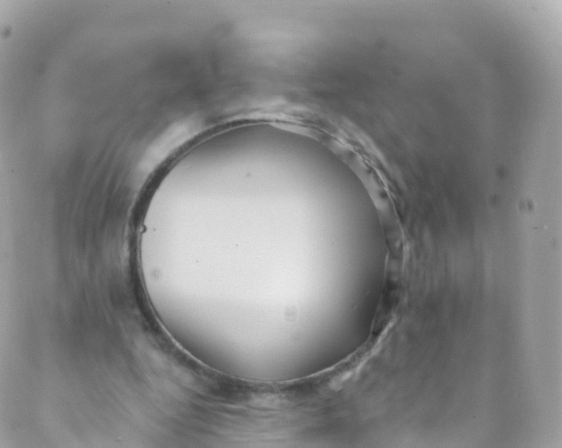 X0000089440344200707061414