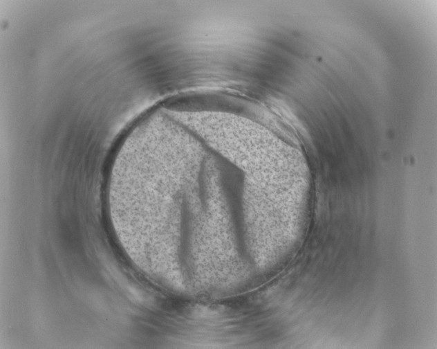 X0000089440346200707061414