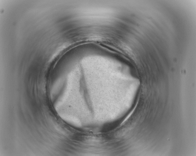 X0000089440347200707061414