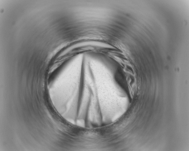 X0000089440348200707061414