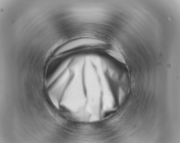 X0000089440349200707061414