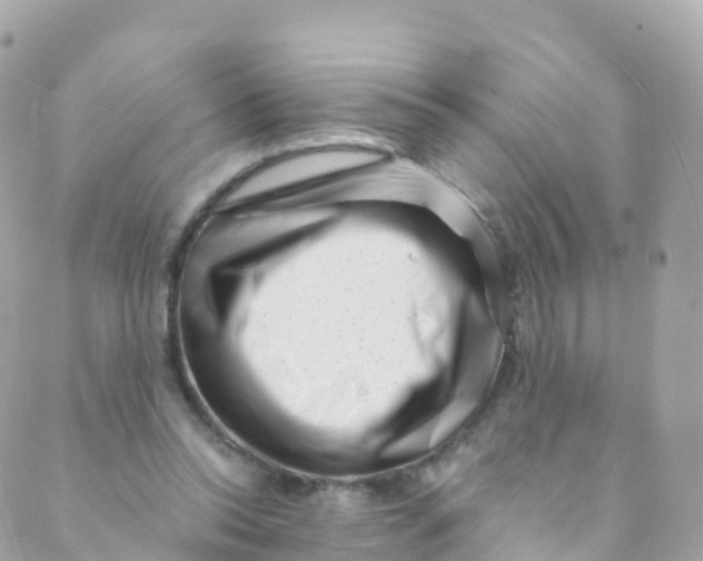 X0000089440350200707061414