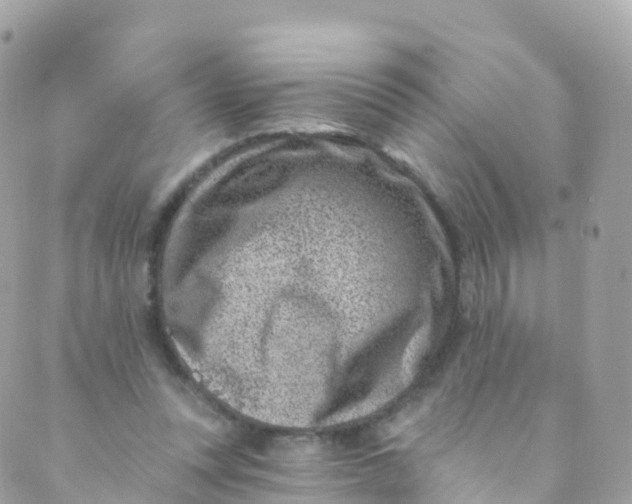 X0000089440351200707061414