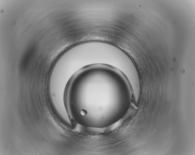 X0000089440352200707061414