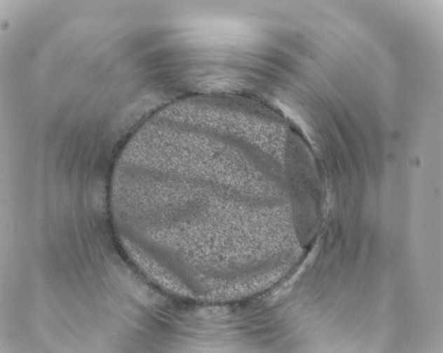 X0000089440353200707061414