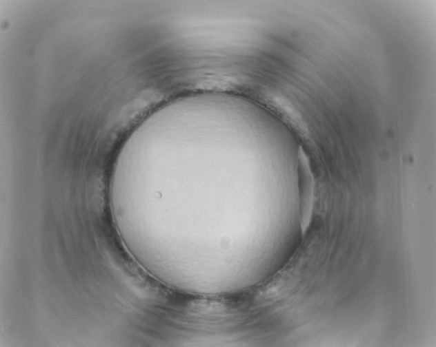 X0000089440354200707061414