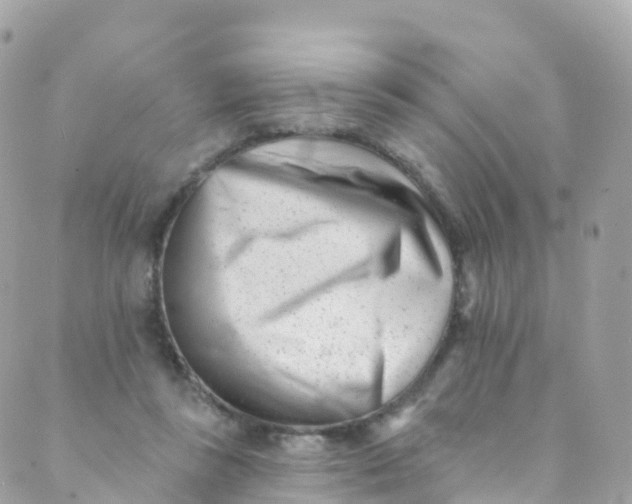 X0000089440355200707061414