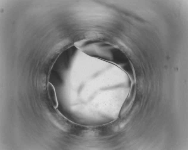 X0000089440356200707061414