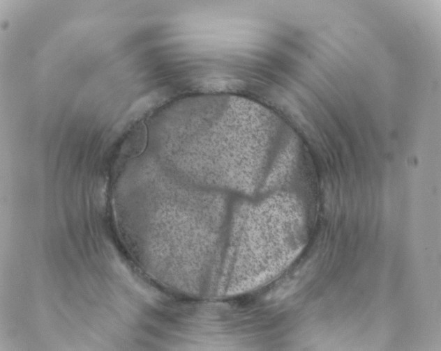 X0000089440357200707061414