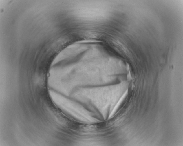 X0000089440359200707061414