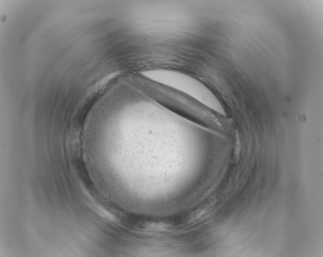 X0000089440360200707061414