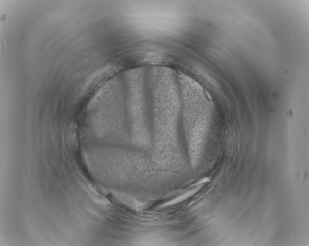 X0000089440361200707061414