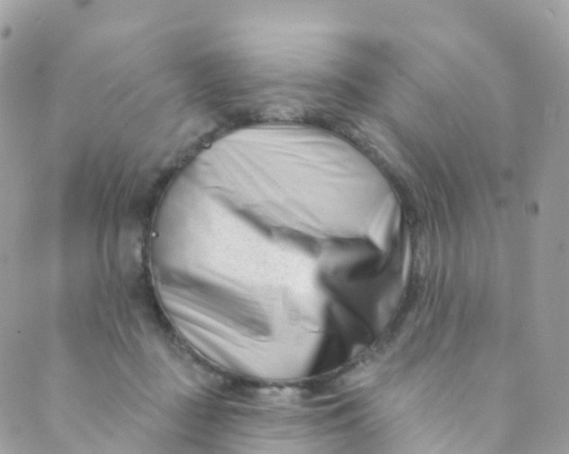 X0000089440363200707061414